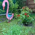 4 Appartement Swarzędz