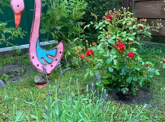 4 Apartment Swarzędz